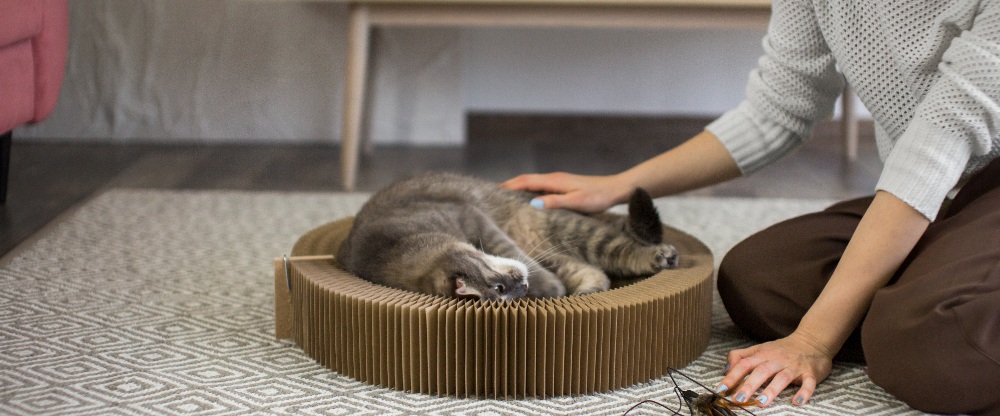 une femme avec un chat 